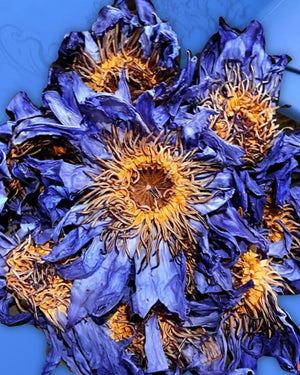 Τσάι Blue Lotus
