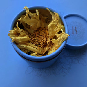 Αιθέριο λουλούδι Lotus